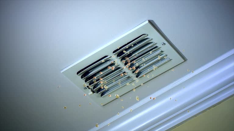 Best Affordable Air Duct Cleaning  in Vernon Hls, IL