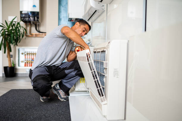 Best Duct Cleaning Specialists  in Vernon Hls, IL
