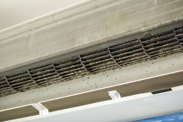 Best Best Air Duct Cleaning Company  in Vernon Hls, IL