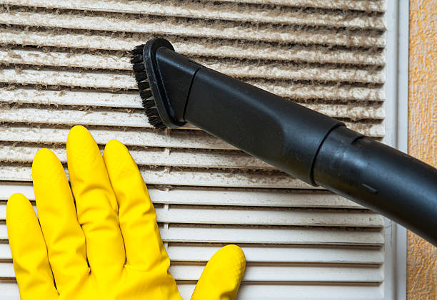 Best Commercial HVAC Duct Cleaning  in Vernon Hls, IL